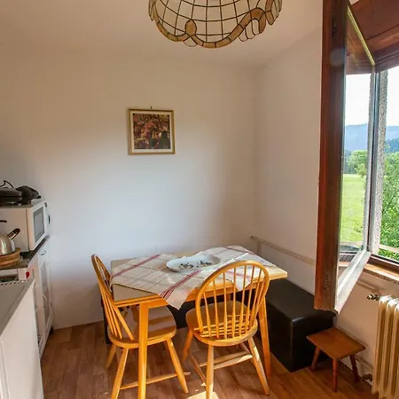 Appartement Vidra *